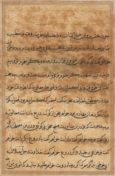 Pagina da Storie di un pappagallo (Tuti-nama): pagina di testo da Unknown artist
