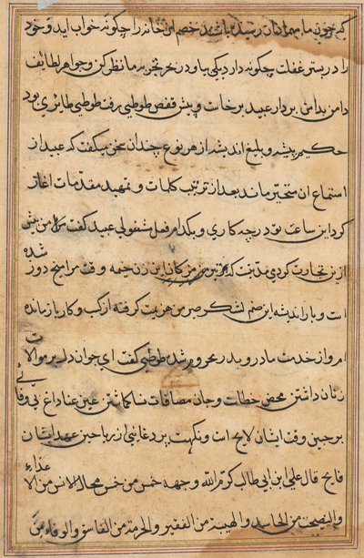 Pagina da Racconti di un pappagallo (Tuti-nama): pagina di testo da Unknown artist