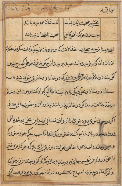 Pagina da Racconti di un pappagallo (Tuti-nama): pagina di testo da Unknown artist