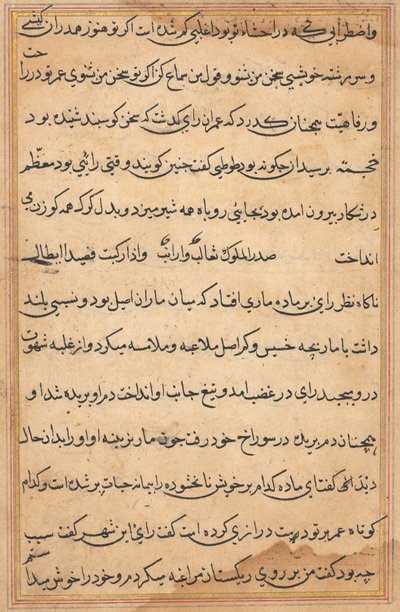 Pagina da Racconti di un pappagallo (Tuti-nama): pagina di testo da Unknown artist