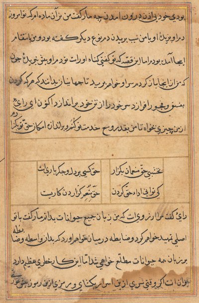 Pagina da Racconti di un pappagallo (Tuti-nama): pagina di testo da Unknown artist