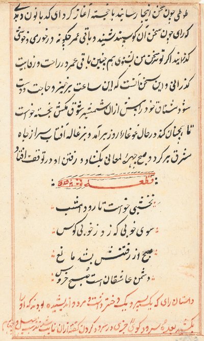 Pagina da Racconti di un pappagallo (Tuti-nama): pagina di testo da Unknown artist