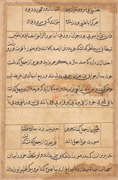 Pagina da Racconti di un pappagallo (Tuti-nama): pagina di testo da Unknown artist