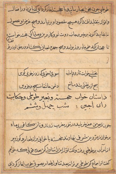 Pagina da Storie di un pappagallo (Tuti-nama): pagina di testo da Unknown artist