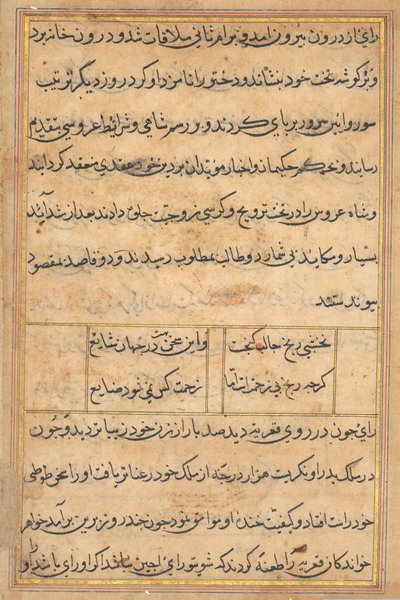 Pagina da Storie di un pappagallo (Tuti-nama): pagina di testo da Unknown artist