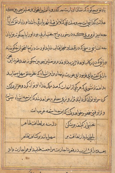 Pagina da Storie di un pappagallo (Tuti-nama): pagina di testo da Unknown artist