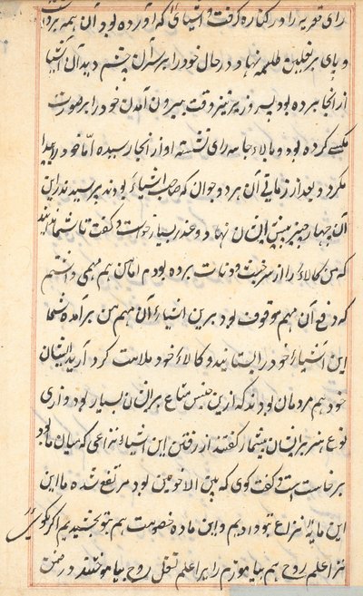 Pagina da Storie di un pappagallo (Tuti-nama): pagina di testo da Unknown artist