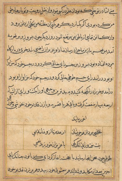 Pagina da Storie di un pappagallo (Tuti-nama): pagina di testo da Unknown artist
