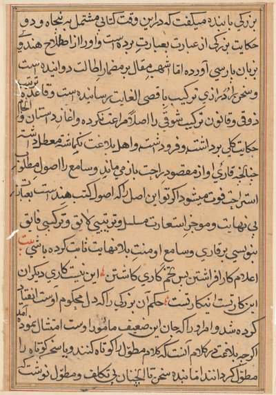 Pagina da Storie di un pappagallo (Tuti-nama): pagina di testo da Unknown artist