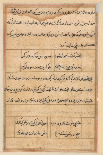 Pagina da Storie di un pappagallo (Tuti-nama): pagina di testo da Unknown artist