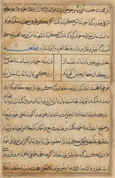 Pagina da Racconti di un pappagallo (Tuti-nama): pagina di testo da Unknown artist