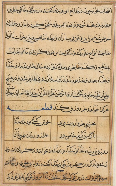 Pagina da Racconti di un pappagallo (Tuti-nama): pagina di testo da Unknown artist