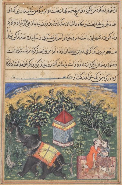 Pagina da Racconti di un pappagallo (Tuti-nama): pagina di testo da Unknown artist