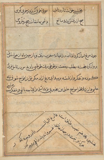 Pagina da Racconti di un pappagallo (Tuti-nama): pagina di testo da Unknown artist