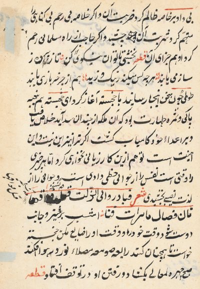 Pagina da Racconti di un pappagallo (Tuti-nama): pagina di testo da Unknown artist
