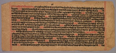 Pagina da un Manoscritto Jaina da Unknown artist