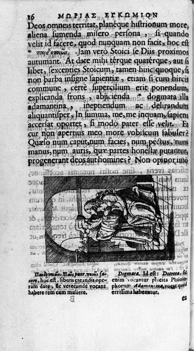 Pagina illustrata da un