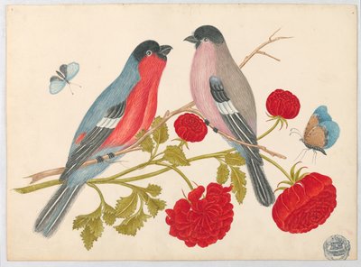 Coppia di Uccelli su Ramo con Rose e Farfalle da Unknown artist