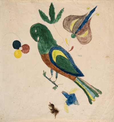 Pappagallino da Unknown artist