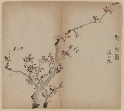 Fiori di pesco da Unknown artist