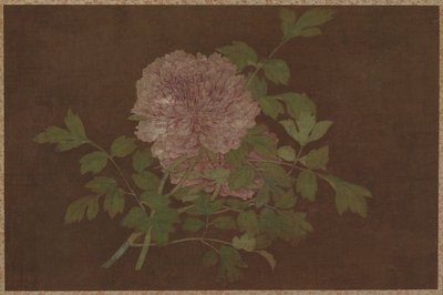 Peonie da Unknown artist
