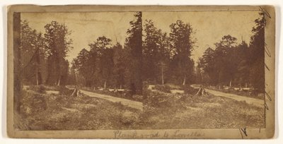 [Plank road to Lowella] (recto); [Città non identificata] (verso) da Unknown artist