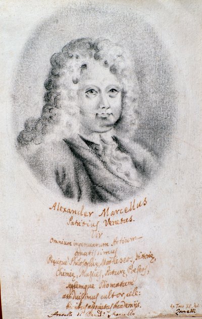 Ritratto di Alessandro Marcello (disegno) da Unknown artist