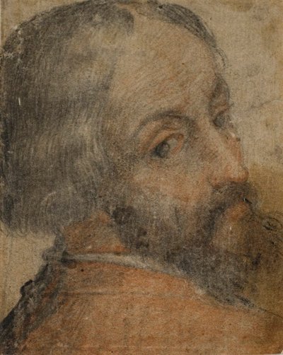 Ritratto di uomo barbuto (Lodovico Ariosto) da Unknown artist