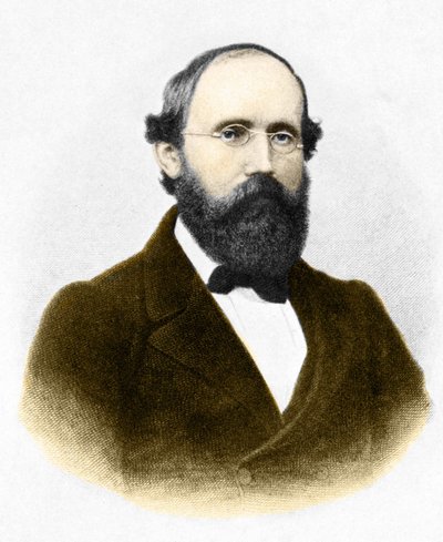Ritratto di Bernhard Riemann (1826-1866), matematico tedesco da Unknown artist