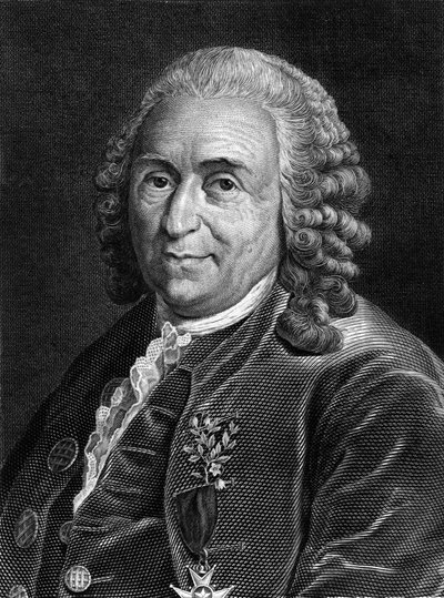 Ritratto di Carl Von Linné, naturalista e scrittore svedese (1707 - 1778). Incisione del XIX secolo da Unknown artist