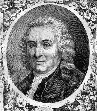 Ritratto di Carlo Linneo (Carl von Linne, Carl Linnaeus) (1707-1778), naturalista svedese. Incisione del 1878 da Unknown artist