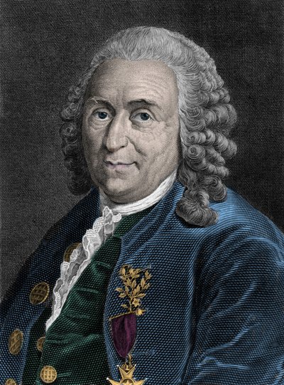 Ritratto di Carlo Linneo (Carl von Linne, Linneus 1707-1778), naturalista svedese. Incisione del XIX secolo da Unknown artist