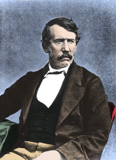 Ritratto di David Livingstone, missionario e esploratore scozzese da Unknown artist