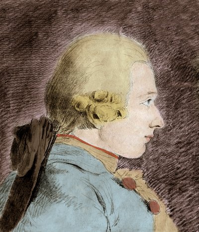 Ritratto di Donatien Alphonse François de Sade (1740-1814) (Marchese de Sade) - dopo Van Loo da Unknown artist