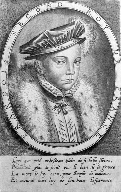 Ritratto di Francesco II (1544 - 1560), Re di Francia da Unknown artist