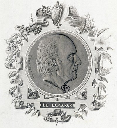 Ritratto di Jean Baptiste Lamarck - incisione da Unknown artist