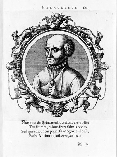Ritratto di Philipp Aureolus Theophrast Bombast von Hohenheim Paracelsus da Unknown artist