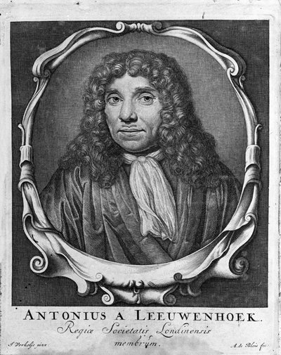 Ritratto del mercante e studioso olandese Antoine van Leeuwenhoek (1632-1723) Incisione da 