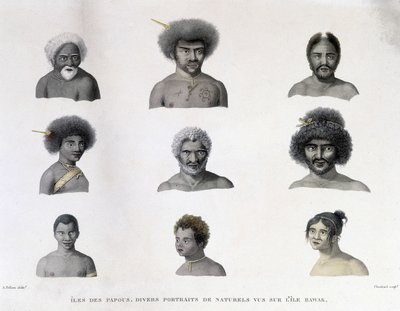 Ritratti dei Papua dell