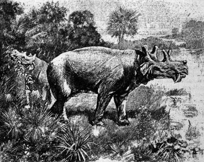 Preistoria: rappresentazione di un dinosauro Uintatherium a quattro corna da Unknown artist