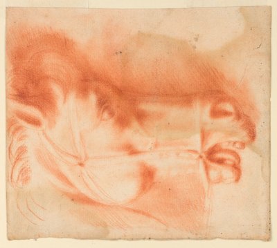 Profilo della testa di cavallo con briglia mostrata in profilo da Unknown artist