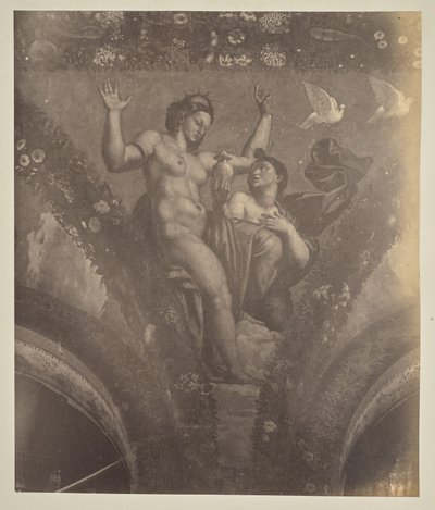 Psiche consegna il piatto a Venere da Unknown artist