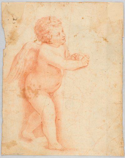 Putto che fa un nodo da Unknown artist