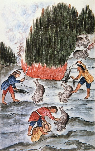 Caccia al coniglio, dal libro "Trujillo del Peru" o "Códice Martínez Compañón", di Baltazar Martinez Compañón y Bujanda, vescovo di Trujillo (1782-1785) da Unknown artist