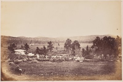 Valle dei Rangers, Nord Est, Glen Innes da Unknown artist