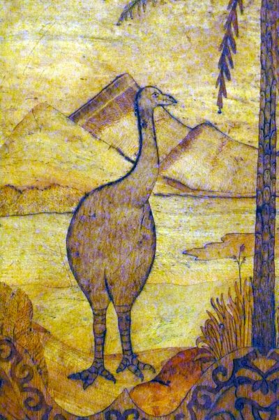 Rappresentazione di un Moa dalla Nuova Zelanda, razza estinta di uccello gigante incapace di volare. XVIII secolo da Unknown artist