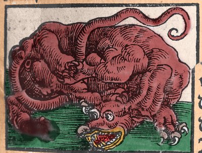 Rappresentazione di un drago. Incisione da 