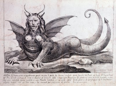 Rappresentazione di un