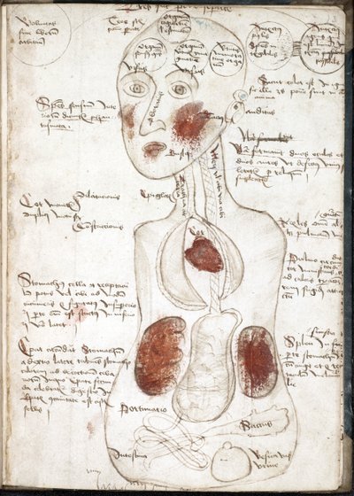 Rappresentazione di una teoria aristotelica della coscienza (Da: De corpore et anima) - Anonimo - 1497 - Acquerello su pergamena - 22x15,8 - Biblioteca Universitaria John Rylands da Unknown artist
