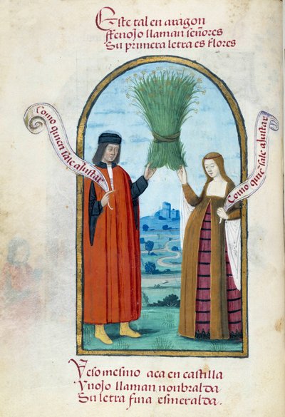 Rappresentazione dei re cattolici Ferdinando II e Isabella I di Castiglia con un mazzo di finocchio selvatico da Unknown artist